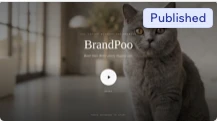 BrandPoo front-page preview